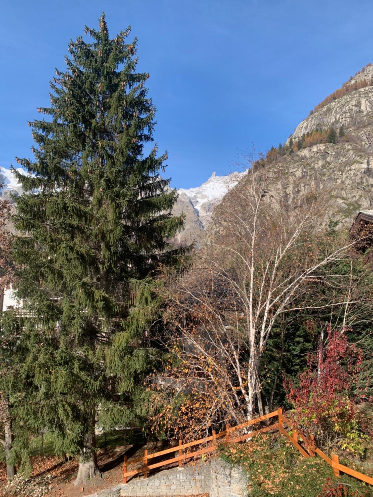 Foyer Grand Ru Apartment Courmayeur Luaran gambar